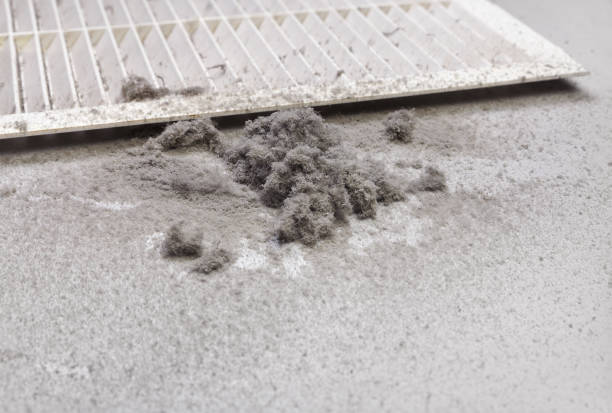 Best Affordable Duct Cleaning Services  in Slaton, TX